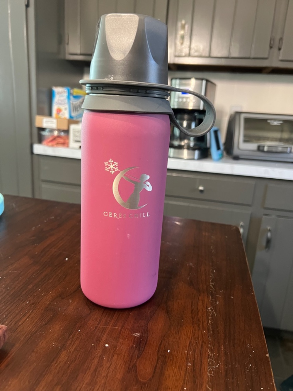 Ceres Chill Legacy Breastmilk Chiller in Plum